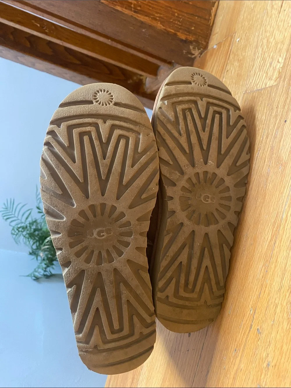 UGG Classic Short Boots - Chestnut Suede